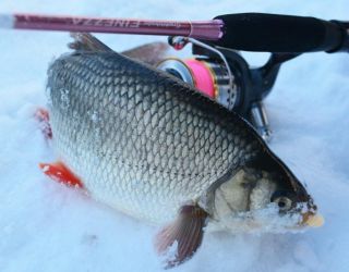 *Курортный комплекс "Tulip Inn Sofrino Park Hotel"